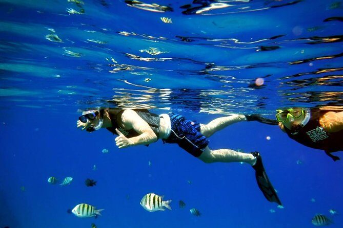 Shared 2 hours Sosúa Bay Snorkeling with Professional Guide - Key things I’d zero in on before you book