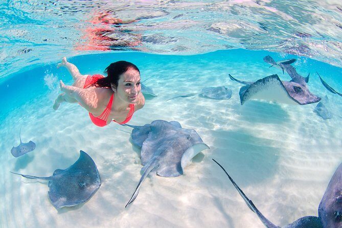 Sharks & Stingrays Encounter and Small Boat Ride from Punta Cana - What you’ll get (and what might feel short)