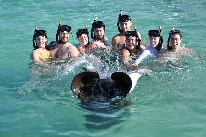Sharks & Stingrays Encounter and Small Boat Ride from Punta Cana - Tips to avoid disappointment and boost your chances of enjoying everything