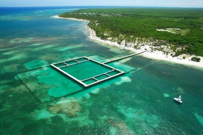 Sharks & Stingrays Snorkeling in Punta Cana with Parasailing - Who This Tour Suits Best (And Who Might Reconsider)