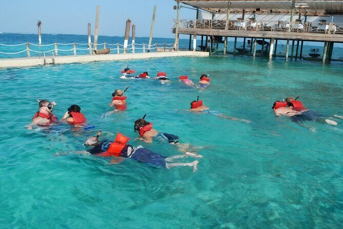 Sharks & Stingrays Snorkeling in Punta Cana with Parasailing - Small Rules That Can Affect Your Day