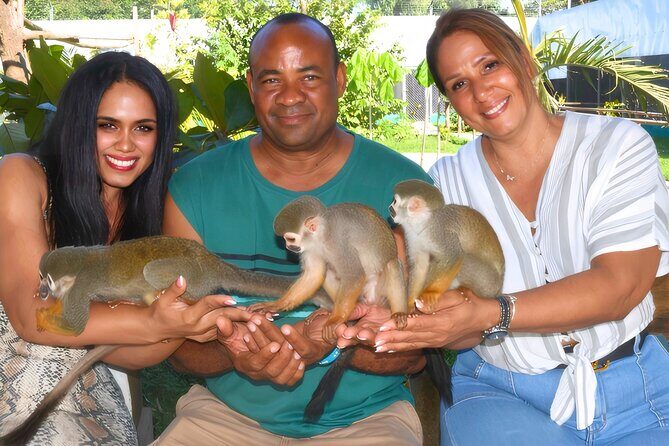 Shore Excursion Monkey Encounter and Puerto Plata City Tour - Key Points to Know Before You Go