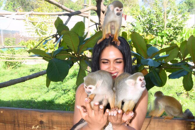 Shore Excursion Monkey Encounter and Puerto Plata City Tour - Puerto Plata in One Smooth 4-Hour Loop