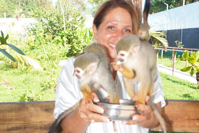 Shore Excursion Monkey Encounter and Puerto Plata City Tour - Fifi Jewelry and Cigar Store + Amber Museum Time