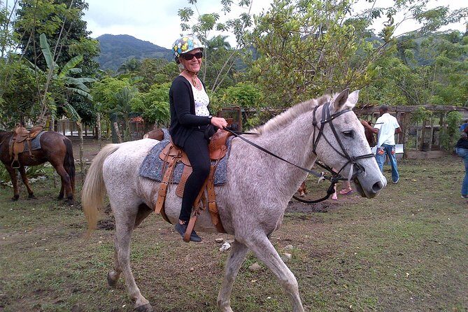Shore Excursion: V.I.P. DayPass: ATV, Zip Lines, Horseback Riding & Lunch - Horseback riding: calmer pacing, with horses picked for you