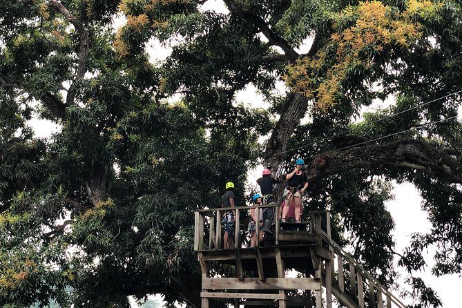 Shore Excursion: Zip Line Adventure - Should you book Zip Line Adventure from Amber Cove?
