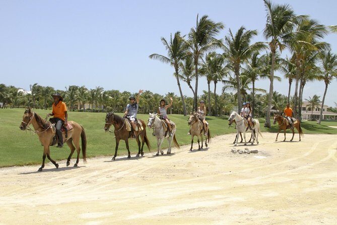 Small-Group Half-Day Horseback Riding Tour from Punta Cana - Safety briefing and instruction: how you get comfortable fast