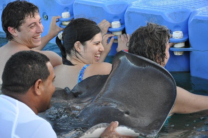 Small Group Snorkeling, Sharks & Stingrays Encounter by boat - Should You Book This Shark and Stingray Boat Tour?