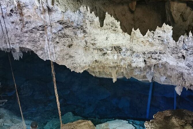 Snorkeling in the Cenotes of Bayahibe - The aperitif finish: why the timing feels right