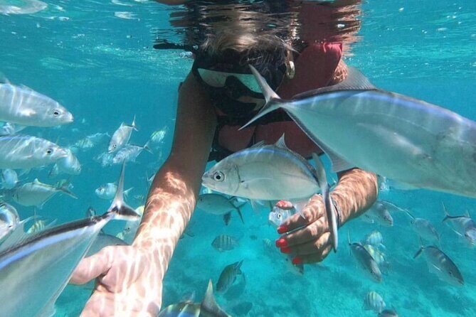 Speed Boat and Snorkeling in Punta Cana Bavaro - Guides that make it feel personal: Manolo, Jesus, Jose, and more