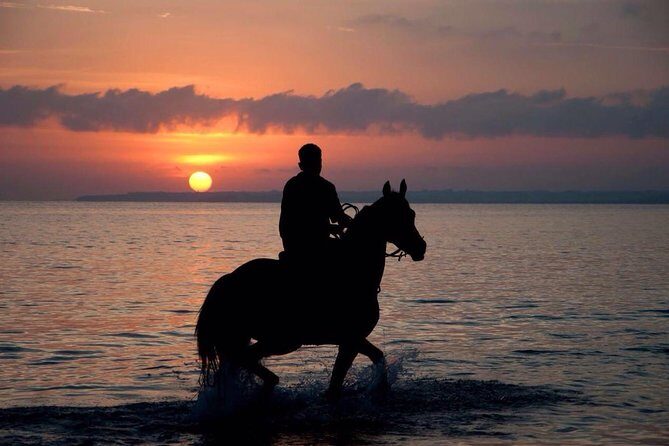 Sunset Beach Horseback Riding - Key things to know before you go