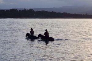 Sunset Beach Horseback Riding - Getting picked up and kitted with a helmet