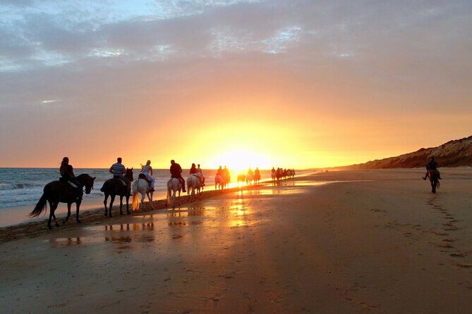 Sunset Beach Horseback Riding - Swimming with your horse: the fun part that depends on the sea