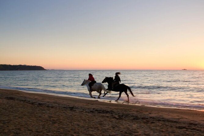 Sunset Horseback Riding in Puerto Plata - Getting There: Pickup, Timing, and Where the Tour Begins