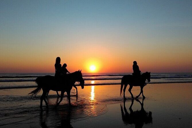 Sunset Horseback Riding in Puerto Plata - Saddled Up and Ready: What Happens Before You Ride