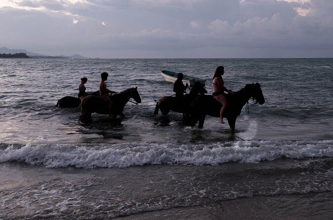 Sunset Horseback Riding in Puerto Plata - Price and Value: What $69 Buys You in Puerto Plata