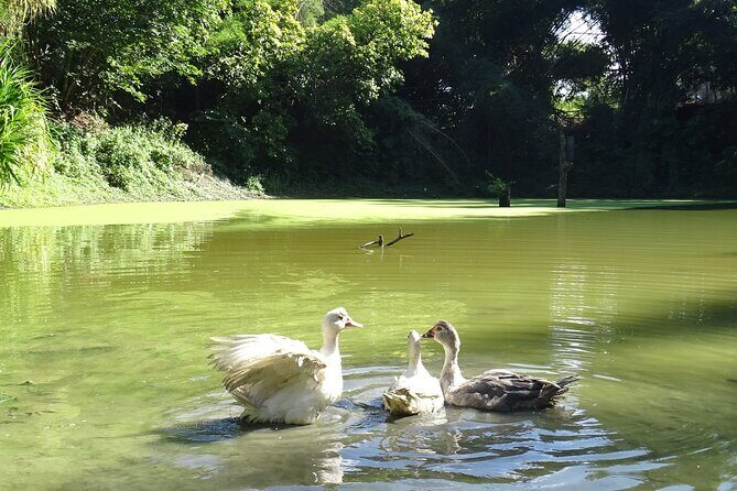 Taino Valley Tropical Park Puerto Plata Tubagua - Why Taino Valley Tropical Park feels different in Puerto Plata