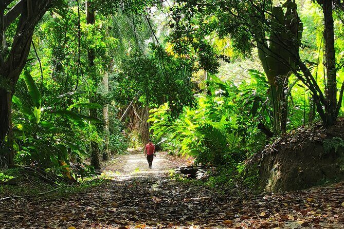 Taino Valley Tropical Park Puerto Plata Tubagua - The viewpoint with benches: where the photos happen