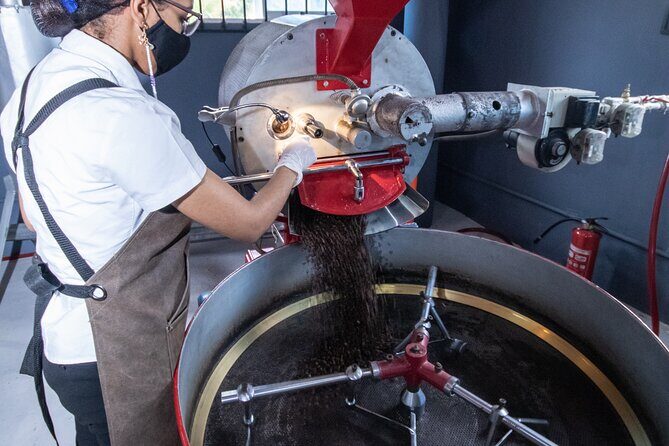 The Coffee Experience - Color Cafe in Dominicus: a coffee lesson you’ll want to talk about