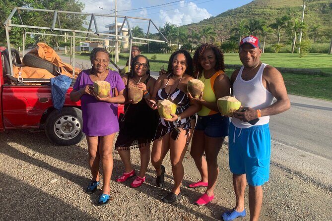 Tour To The Damajagua Waterfalls - Imbert First: Petrified Wood and Field-Side Coffee