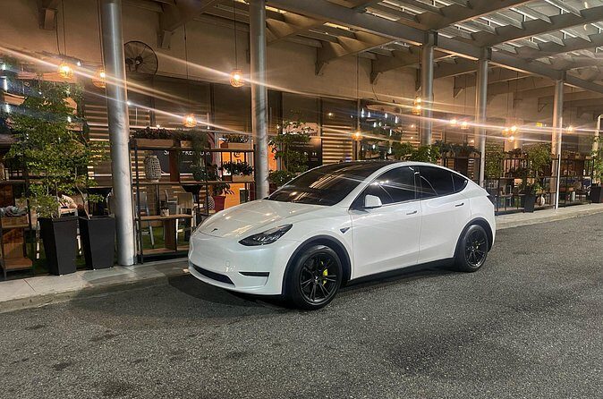 Transfer in Tesla from SDQ Airport to Santo Domingo - Price and value: $59.15 per group is really about splitting the risk
