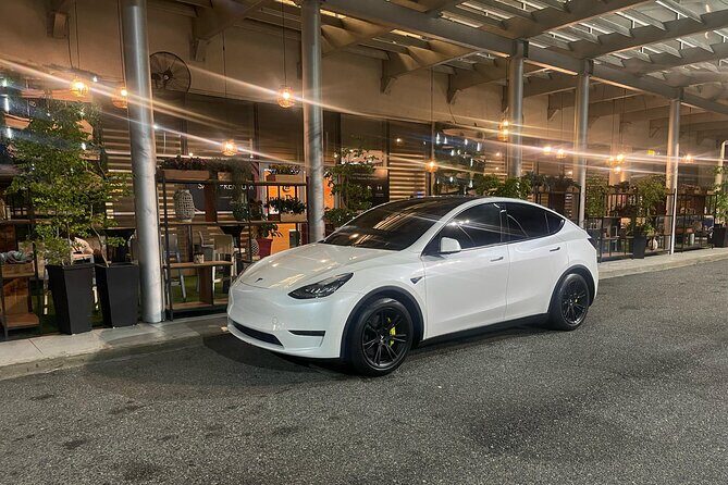 Transfer in Tesla from SDQ Airport to Santo Domingo - Who this transfer is best for