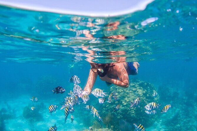 Tropical Punta Cana Booze Cruise – Snorkel, Sandbar & Party Vibes - The open bar party vibe: fun with limits you should know