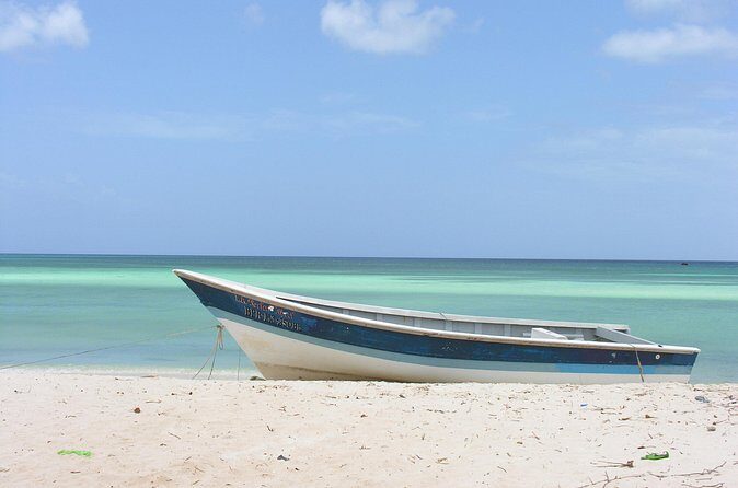 Untouched Paradise – Bahía de Las Águilas - What you’re paying for: value check on $266 per person