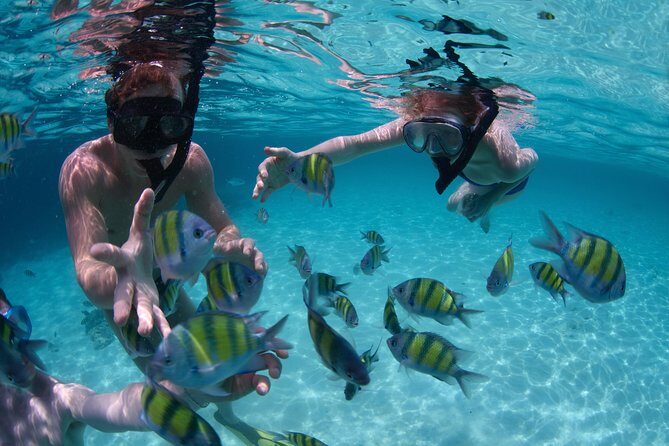 Up to 15 passengers Private Catamaran Sailing from Punta Cana - On-board lunch, open bar, and dance lessons while you cruise