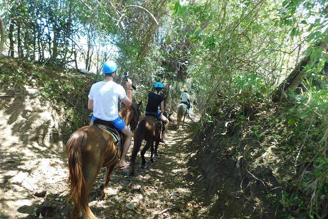 VIP DayPass: ATV, ZipLine, Horse Riding / Shore Excursion & Hotel - Garden walk and rescued animals: the calmer part that adds heart