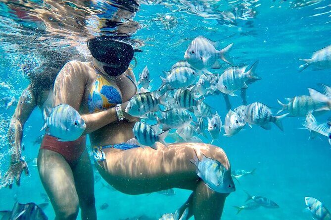 VIP Fascinating Boat Ride & Snorkeling at Sosua Bay - Key things I’d note before you go