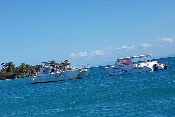 Whale Watching in Samana - The Whale Boat Reality: Crowds and How to Handle Them