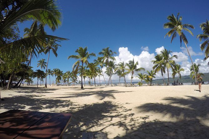 Whale Watching in Samana - Cayo Levantado (Bacardi Island): Why This Stop Works