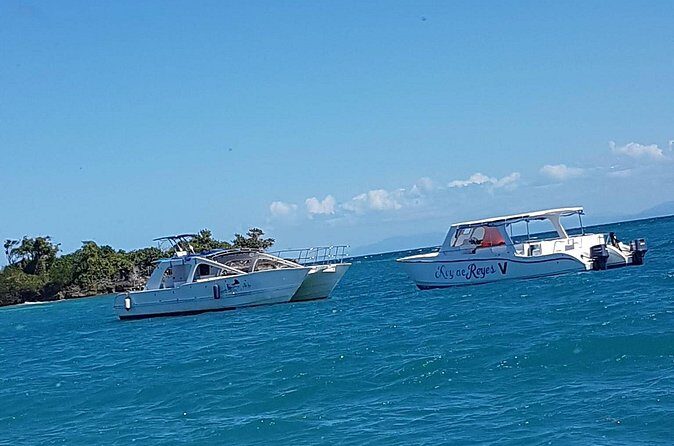 Whale Watching in Samana - Dominican Buffet Lunch: Included, But Plan Around It