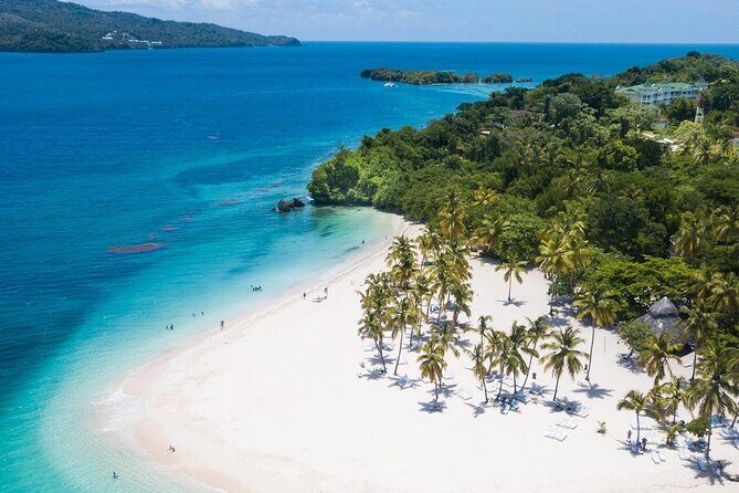Whale Watching Tour in Samana - Should You Book Whale Watching in Samana with Shelting Tours?